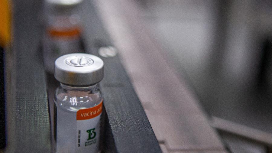 CoronaVac e Oxford são eficazes contra variante de Manaus, dizem laboratórios