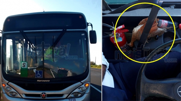 Motorista de ônibus fica ferido após ser atingido por uma perdiz na SP-294