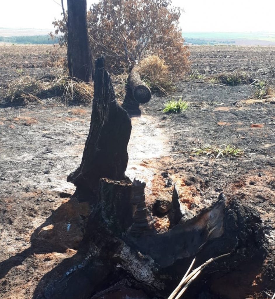 Usina é autuada em quase R$ 140 mil por uso de fogo em vegetação
