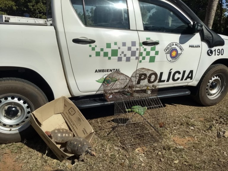 Homem é autuado por caçar animal silvestre e por manter aves e jabutis em cativeiro