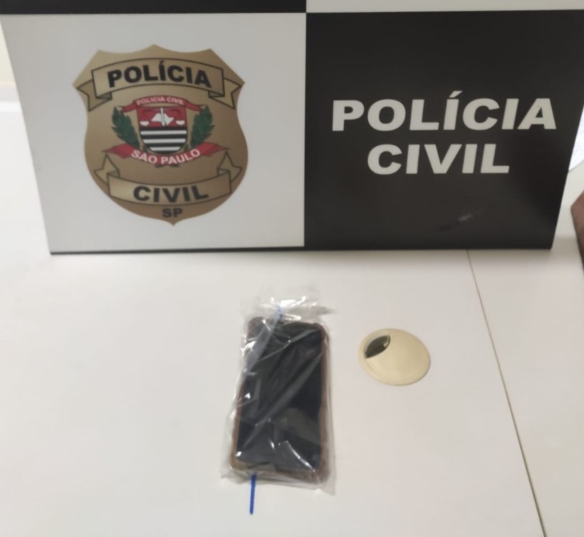 Mulher que abandonou criança recém-nascida em pasto é presa pela Polícia Civil