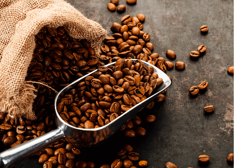 Sebrae-SP e IFSP realizam III Seminário sobre a Indicação de Procedência do Café Arábica da NAP