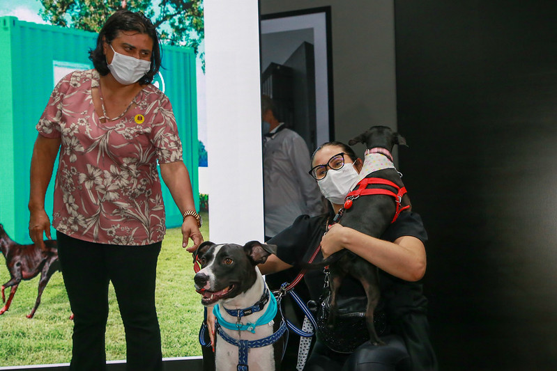 Governo de SP anuncia instalação de consultórios veterinários em 130 cidades