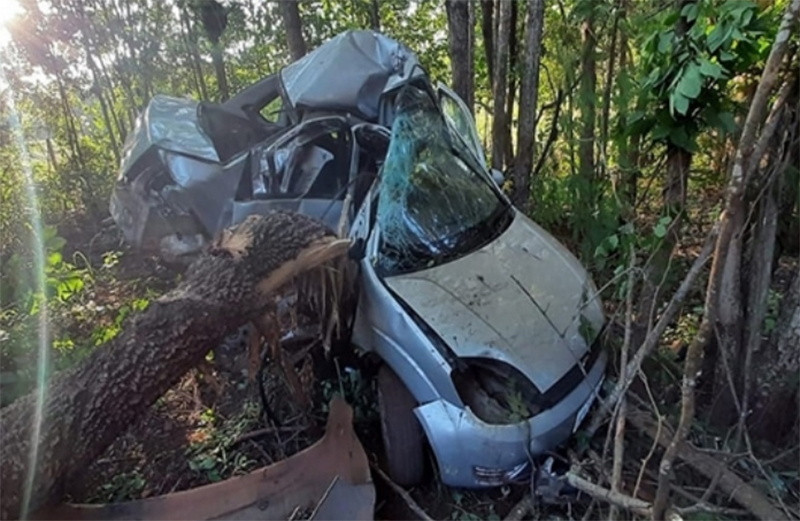 Jovem morre após colidir carro contra árvore