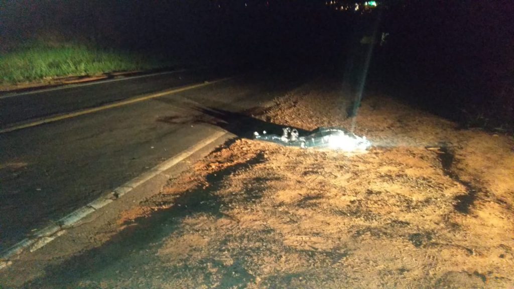 Homem de 48 anos de idade morre atropelado em rodovia