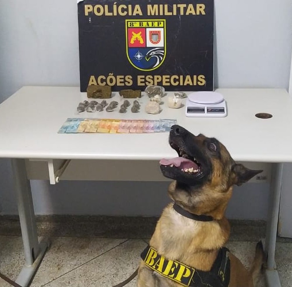 Cão farejador Iron encontra drogas escondidas e traficante é preso em flagrante
