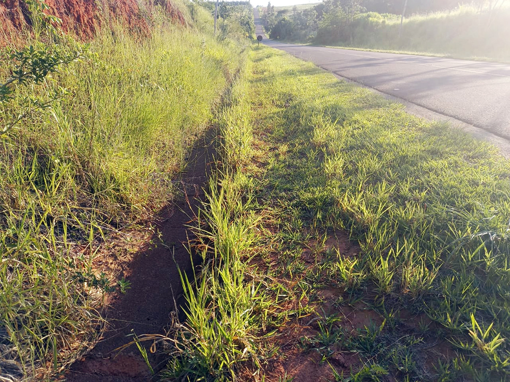 FLÓRIDA: Vereadores cobram limpeza e manutenção nas laterais das estradas vicinais