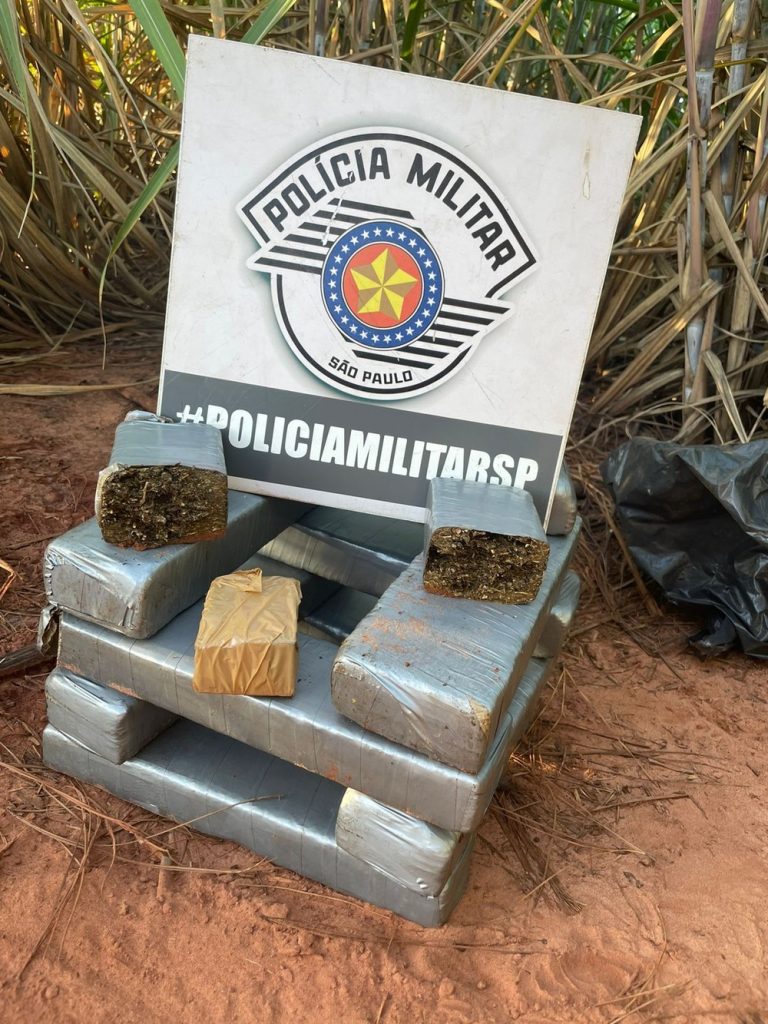Casal é abordado pela Polícia Militar após ‘guardar’ maconha em canavial e acaba preso