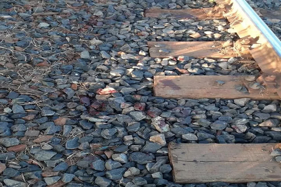 Homem tem pé amputado após ser atingido por trem em Jaú