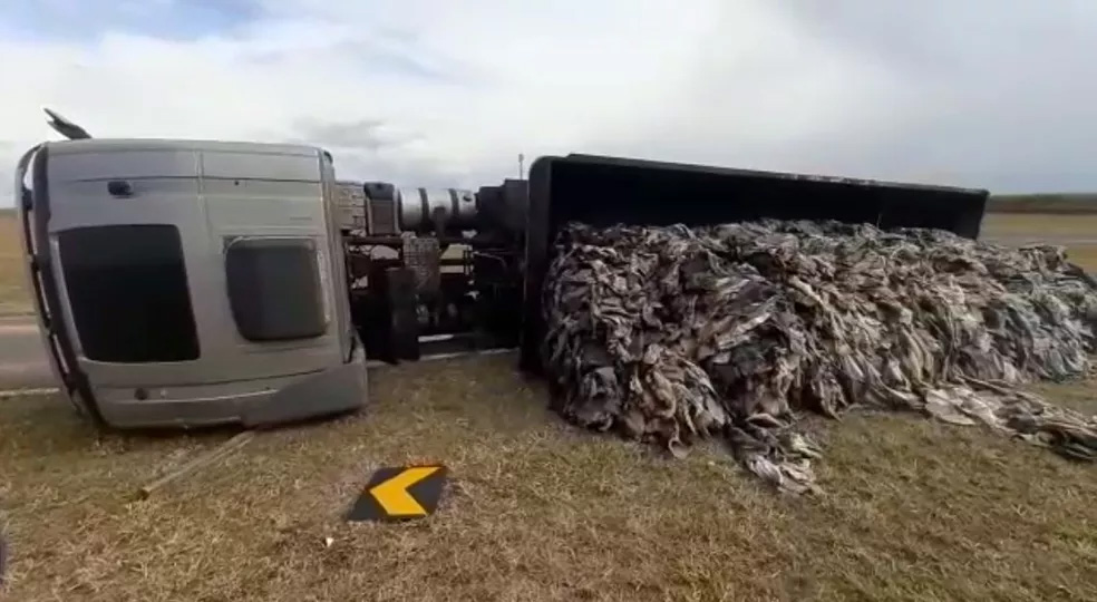 Carreta carregada com couro de boi tomba e interdita alça de acesso em Ribeirão Preto, SP