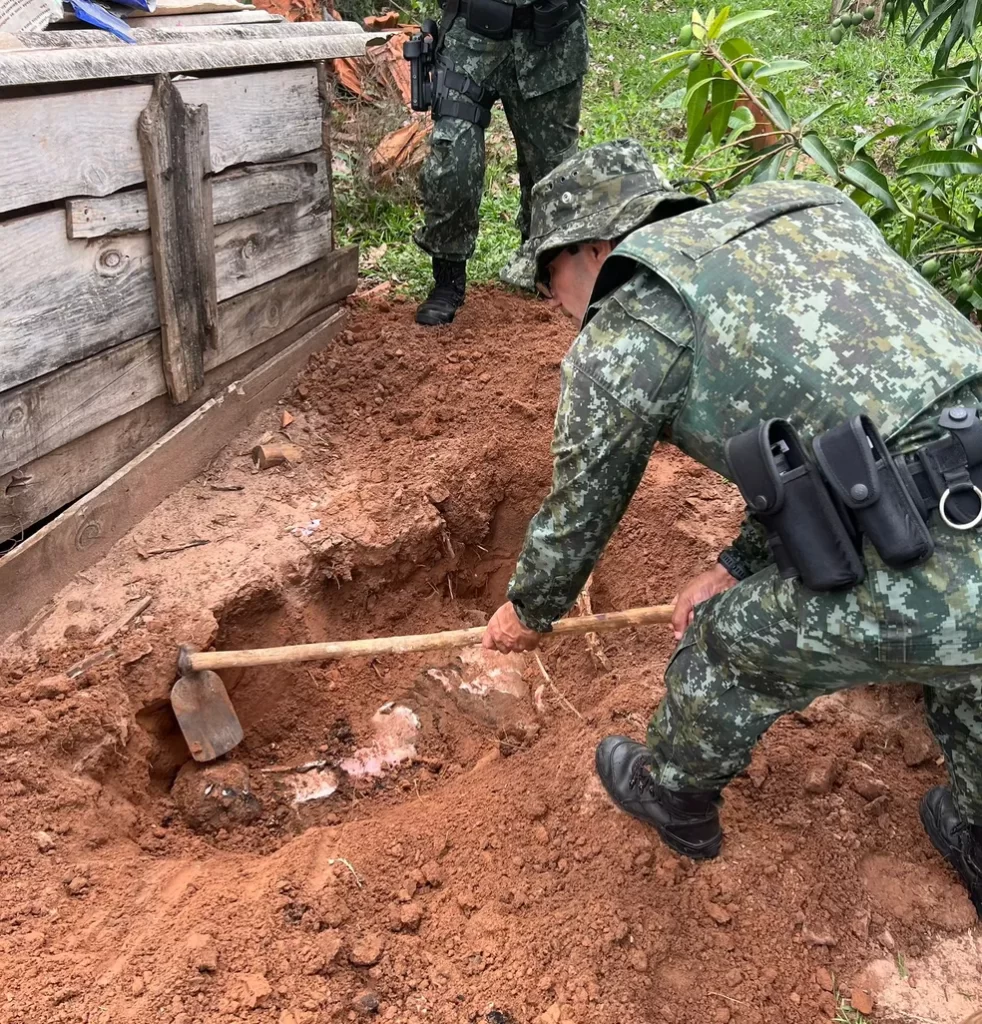 Homem é multado em R$ 10 mil por matar onça-parda com espingarda em Gália