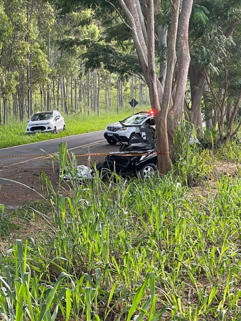 Rapaz bate veículo em árvore e morre entre Marília e Avencas