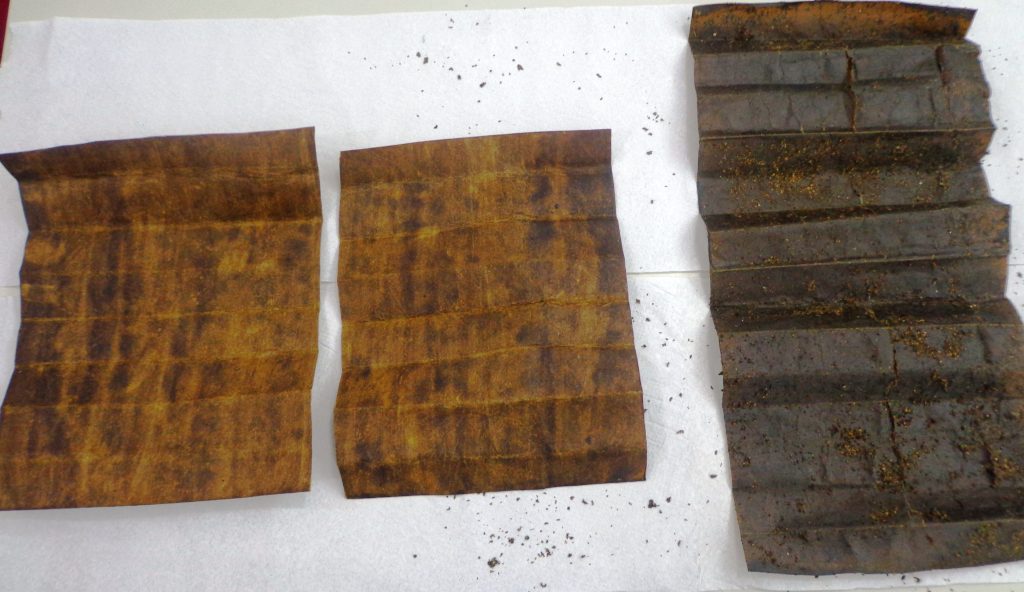 Duas visitantes são flagradas com droga sintética na Penitenciária de Flórida Paulista