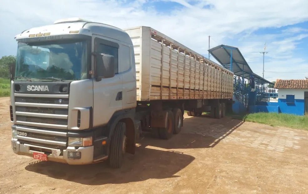 Criminosos fazem família refém e roubam gado e caminhões de propriedade rural em Cardoso