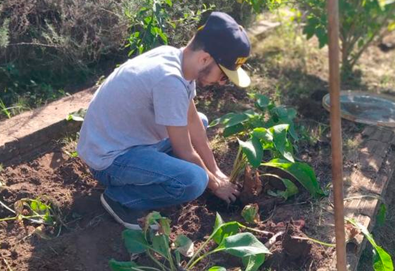 Cursos de Agronomia e Farmácia desenvolvem projetos na Área Experimental de Fitotecnia