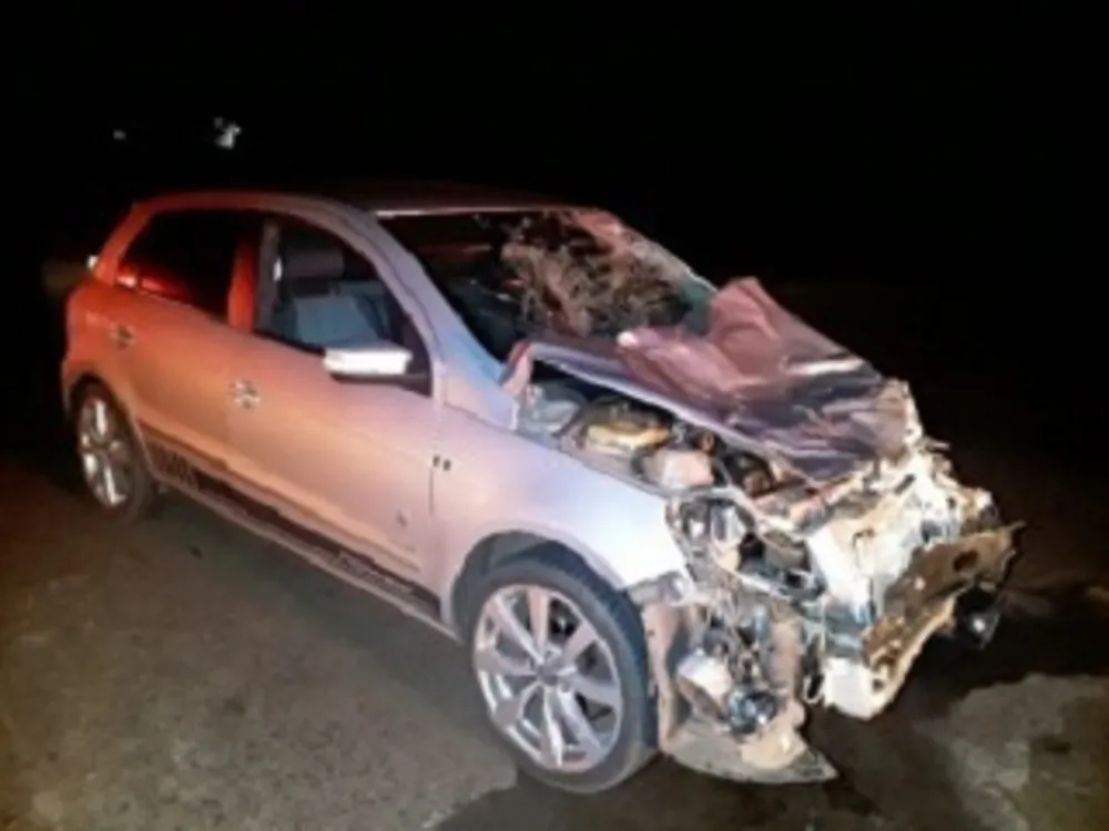 Carro fica destruído ao se envolver em atropelamento de bovinos