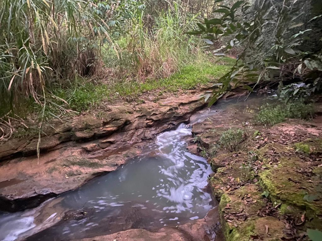 Crianças encontram ossada humana às margens de córrego enquanto soltavam pipas