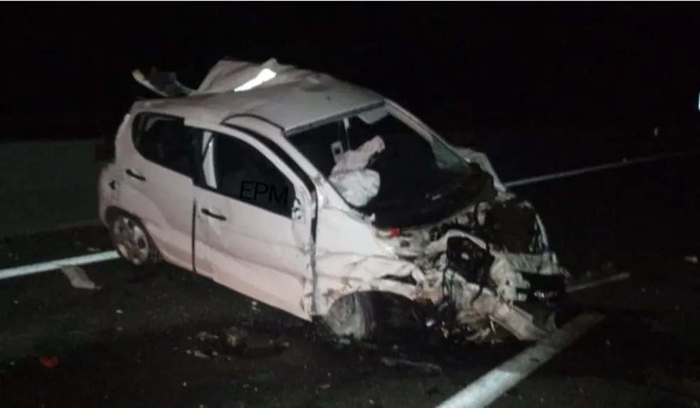 Motorista fica em estado grave após atropelar capivara na rodovia Ronan Rocha na região de Franca