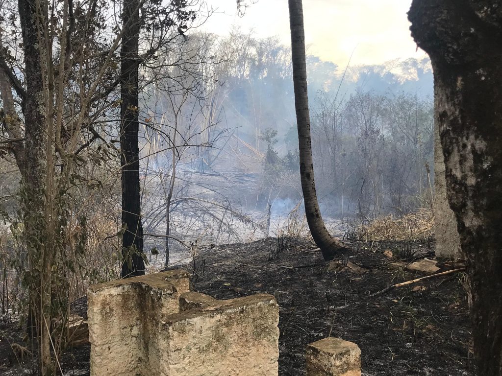 Incêndio atinge vegetação no Santo Botelho em Lucélia