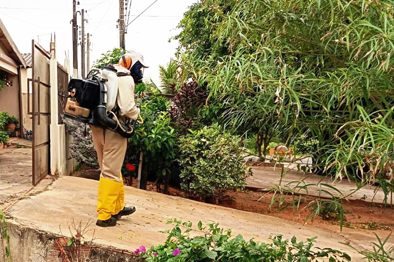 PACAEMBU: Secretária Municipal de Saúde confirma o 1º caso de chikungunya