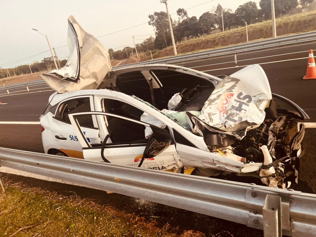 Animal invade pista e causa grave acidente na SP-294