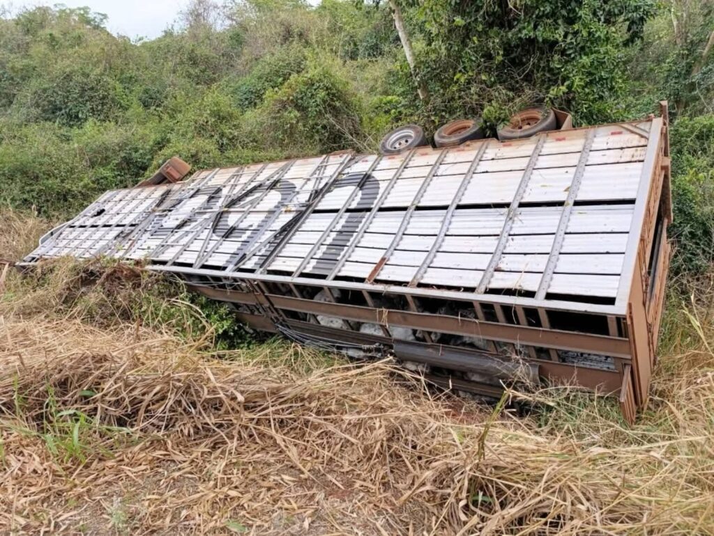 Foto: Reprodução / Vitor da Matta