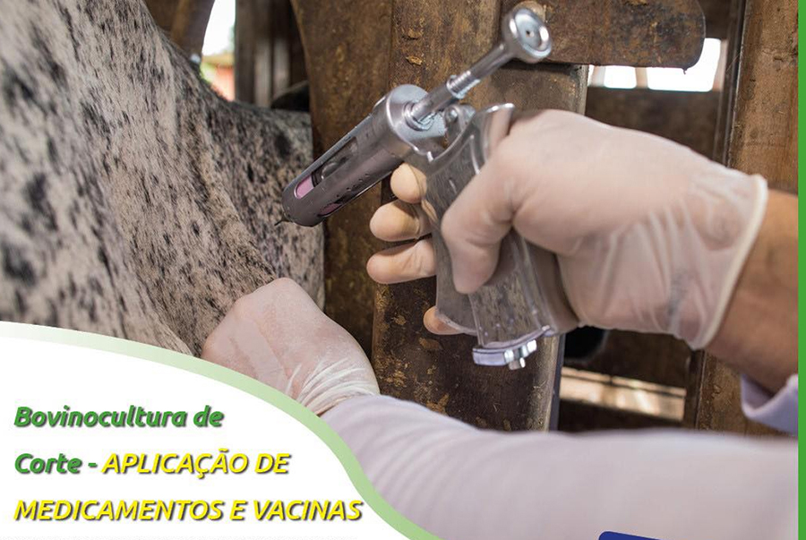 LUCÉLIA: Sindicato Rural promove curso gratuito de Bovinocultura de Corte em parceria com o SENAR-SP