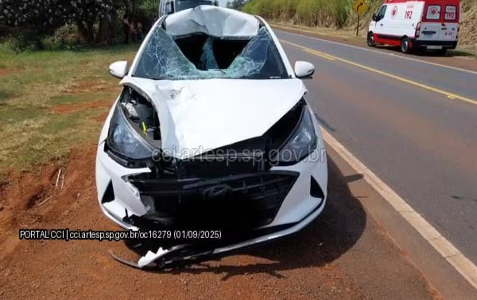 Mulher morre atropelada por carro na SP-255