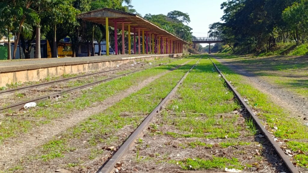 Ibama renova licença para reativar ferrovia em 14 cidades até Panorama