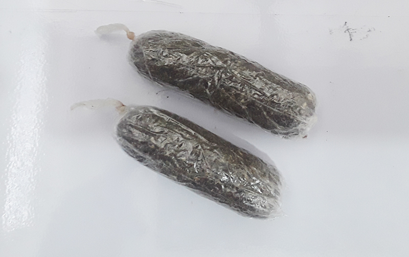 Visitante é flagrada com droga na Penitenciária de Pacaembu