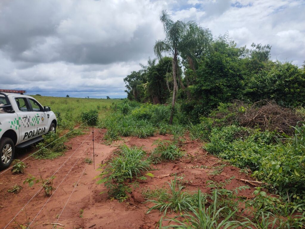 Homem é multado em mais de R$ 5 mil por supressão de vegetação nativa em Salmourão