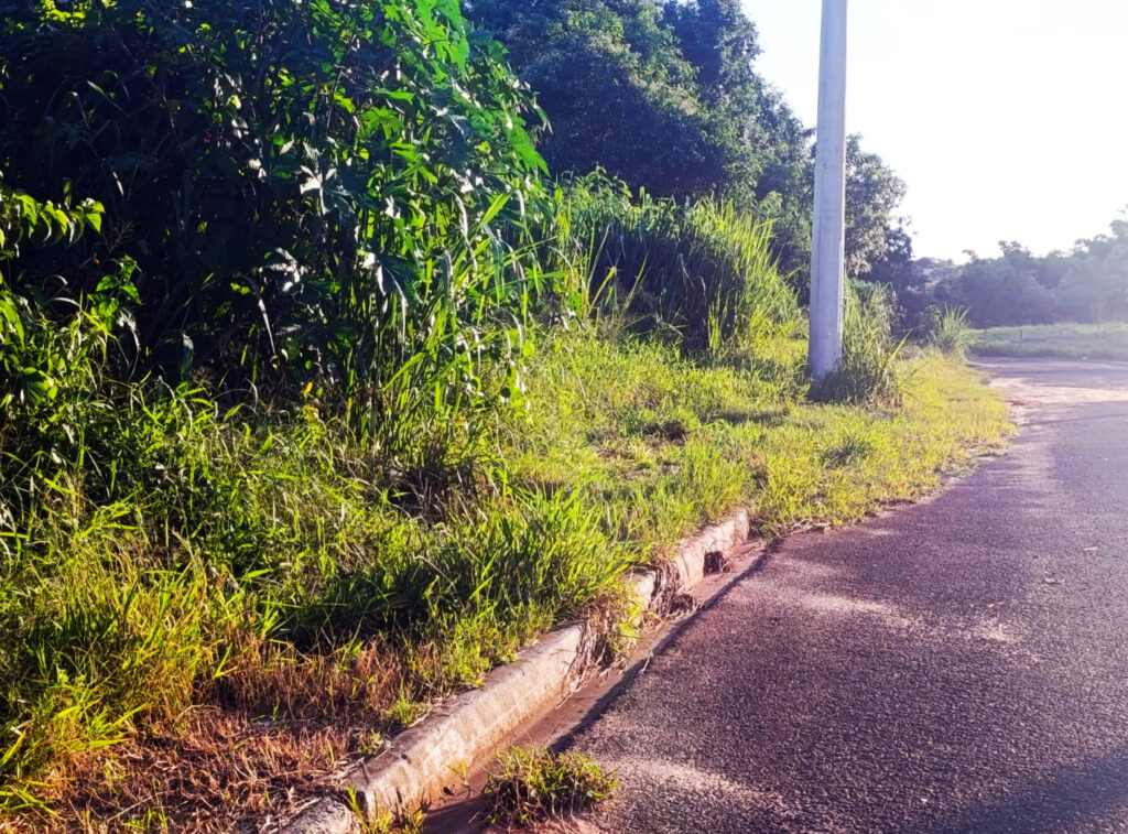 PACAEMBU: Vereador cobra melhorias na limpeza urbana e atenção especial em Conjunto Habitacional