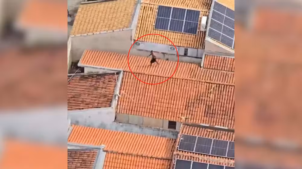 Após furtar residência, homem tenta fugir por telhados, mas é preso com apoio do Águia da PM