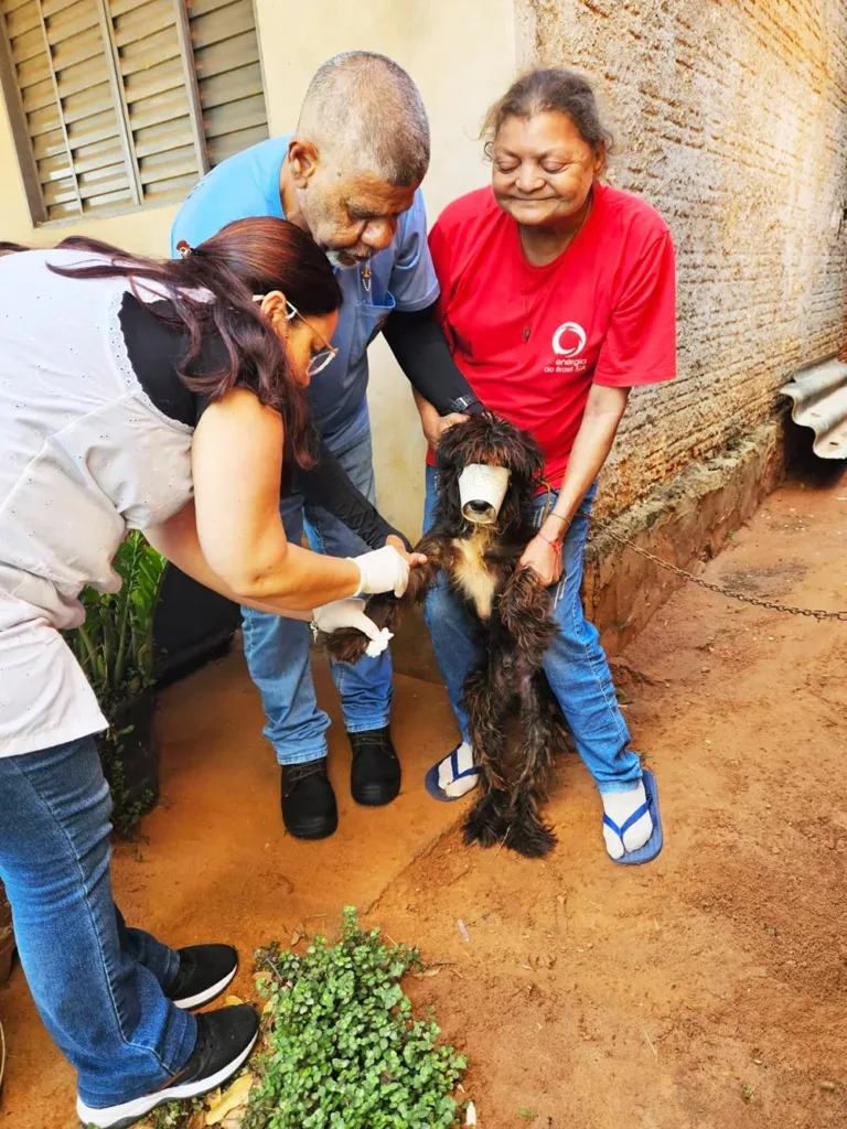 MARIÁPOLIS: Saúde Municipal realiza ações de combate à leishmaniose