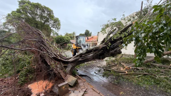 ADAMANTINA: Ventos na região atingiram 80 km/h; temporal causou prejuízos